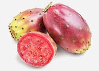 Opuntia Fruchtextrakt